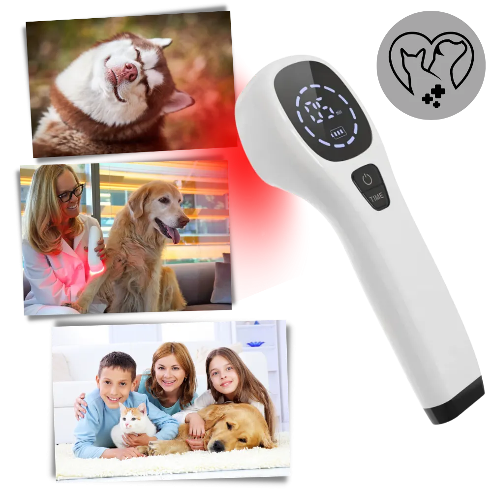 Advanced Laser Therapy for Dogs - Non-Invasive Pain Relief for Joint Pain, Arthritis & Wound Healing