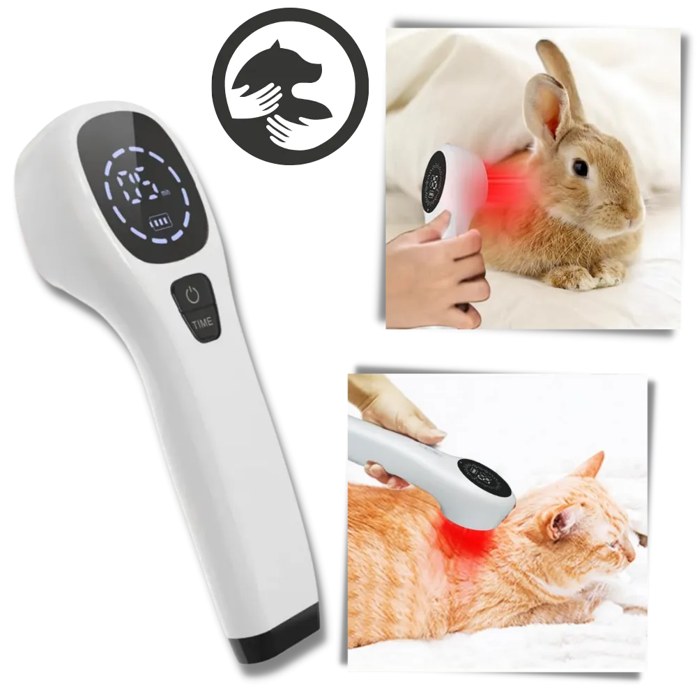 Advanced Laser Therapy for Dogs - Non-Invasive Pain Relief for Joint Pain, Arthritis & Wound Healing