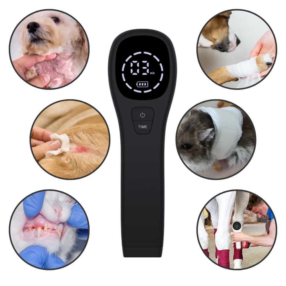 Advanced Laser Therapy for Dogs - Non-Invasive Pain Relief for Joint Pain, Arthritis & Wound Healing